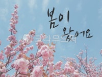 벚꽃, 봄, cherryblossom, 꽃, blossom, 사진,이미지,일러스트,캘리그라피 - Onle Design작가 크라우드픽 - 저작권 걱정 없는 상업용 이미지