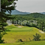field, 필드, nature, 자연, outdoors, 사진,이미지,일러스트,캘리그라피 - jgoldh00작가 크라우드픽 - 저작권 걱정 없는 상업용 이미지