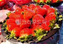 딸기, strawberry, 과일, 음식, food, 사진,이미지,일러스트,캘리그라피 - 스톡충전소작가 크라우드픽 - 저작권 걱정 없는 상업용 이미지