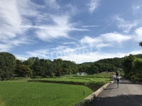 경기도광주, 시골, 풍경, 신남, 동막골, 사진,이미지,일러스트,캘리그라피 - 곰찬작가 크라우드픽 - 저작권 걱정 없는 상업용 이미지