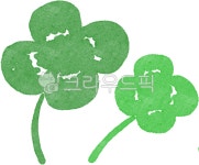 크로바, 행운, 네잎크로바, 클로버, 네잎클로, 사진,이미지,일러스트,캘리그라피 - 안갱작가 크라우드픽 - 저작권 걱정 없는 상업용 이미지