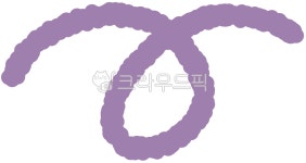 곡선, 라인, 귀여운, 아기자기, 손그림, 사진,이미지,일러스트,캘리그라피 - dbqlswndud작가 크라우드픽 - 저작권 걱정 없는 상업용 이미지