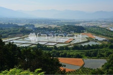 grass, 잔디, plant, 식물, outdoors, 사진,이미지,일러스트,캘리그라피 - 영산공작가 크라우드픽 - 저작권 걱정 없는 상업용 이미지