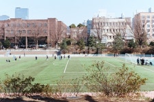 학교, 운동장, 나무, 학생, 잔디, 사진,이미지,일러스트,캘리그라피 - jeaje작가 크라우드픽 - 저작권 걱정 없는 상업용 이미지