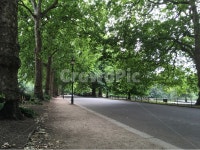 공원, 풀, 환경, 자연, 나무, 사진,이미지,일러스트,캘리그라피 - 핌리코작가 크라우드픽 - 저작권 걱정 없는 상업용 이미지