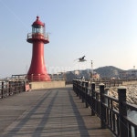 제부도, 갈매기, 등대, 빨간등대, 새, 사진,이미지,일러스트,캘리그라피 - SeeOn작가 크라우드픽 - 저작권 걱정 없는 상업용 이미지