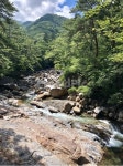 계곡, 지리산, 지리산계곡, 대원사계곡, 여름, 사진,이미지,일러스트,캘리그라피 - Gopro25작가 크라우드픽 - 저작권 걱정 없는 상업용 이미지