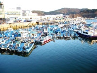 항구, 선박, port, 작은배, 보트, 사진,이미지,일러스트,캘리그라피 - 치즈달소녀작가 크라우드픽 - 저작권 걱정 없는 상업용 이미지