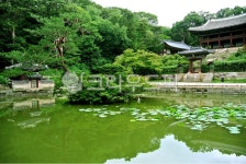 water, 물, outdoors, 옥외, nature, 사진,이미지,일러스트,캘리그라피 - 시처럼찰칵작가 크라우드픽 - 저작권 걱정 없는 상업용 이미지