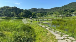 길, nature, 자연, 연못, 공원, 사진,이미지,일러스트,캘리그라피 - ghtn97작가 크라우드픽 - 저작권 걱정 없는 상업용 이미지