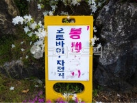 팻말, 낡음, 흔적, 풀, 꽃, 사진,이미지,일러스트,캘리그라피 - Nsunwon8624작가 크라우드픽 - 저작권 걱정 없는 상업용 이미지