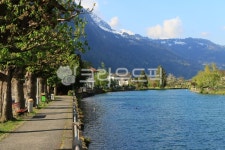 스위스, switzerland, 강가, 자연, nature, 사진,이미지,일러스트,캘리그라피 - beni작가 크라우드픽 - 저작권 걱정 없는 상업용 이미지