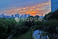 여의도, 한강공원, 샛강생태공원, 영등포, 여의도샛강생태공원, 사진,이미지,일러스트,캘리그라피 - Deep bLUE작가 크라우드픽 - 저작권 걱정... 