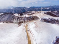 선자령, 삼양목장, 목장, 농장, 눈, 사진,이미지,일러스트,캘리그라피 - cstrike작가 크라우드픽 - 저작권 걱정 없는 상업용 이미지