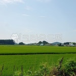 nature, 자연, 농장, farm, 맑은하늘, 사진,이미지,일러스트,캘리그라피 - 몽밍이작가 크라우드픽 - 저작권 걱정 없는 상업용 이미지