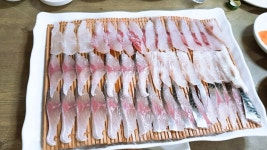 회, 고등어회, 회한접시, 제주도, 횟집, 사진,이미지,일러스트,캘리그라피 - 정스픽작가 크라우드픽 - 저작권 걱정 없는 상업용 이미지
