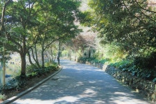 제주도, 여름, 산책길, 올레길, 올레6코스, 사진,이미지,일러스트,캘리그라피 - 라음작가 크라우드픽 - 저작권 걱정 없는 상업용 이미지