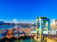 연안부두, 인천부두, 여객선, 어선, 관광선, 사진,이미지,일러스트,캘리그라피 - 파랑작가 크라우드픽 - 저작권 걱정 없는 상업용 이미지