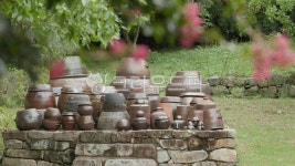 장독대, 장독, 옹기, 한국적, 전통, 사진,이미지,일러스트,캘리그라피 - jahon7작가 크라우드픽 - 저작권 걱정 없는 상업용 이미지