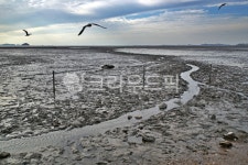 바다, 서해, 썰물, 간조, 갯뻘, 사진,이미지,일러스트,캘리그라피 - Deep bLUE작가 크라우드픽 - 저작권 걱정 없는 상업용 이미지
