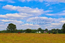 초원, 잔디, 목초지, 파란하늘, 목장, 사진,이미지,일러스트,캘리그라피 - 신감독작가 크라우드픽 - 저작권 걱정 없는 상업용 이미지