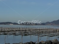 매생이작업, 바다, 고흥신평리, 고흥월포마을, 매생이, 사진,이미지,일러스트,캘리그라피 - 풍경채작가 크라우드픽 - 저작권 걱정 없는 상업용 이미지
