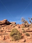 자연, nature, desert, 사막, 서부, 사진,이미지,일러스트,캘리그라피 - 용감한 우주먼지작가 크라우드픽 - 저작권 걱정 없는 상업용 이미지