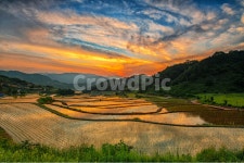 노을, 시골풍경, 석양, 반영, 구름, 사진,이미지,일러스트,캘리그라피 - 서정철작가 크라우드픽 - 저작권 걱정 없는 상업용 이미지
