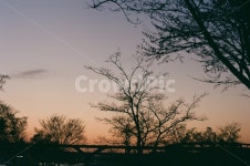 한강공원, 노을, 나무그림자, 노을빛, 하늘, 사진,이미지,일러스트,캘리그라피 - 개상두작가 크라우드픽 - 저작권 걱정 없는 상업용 이미지