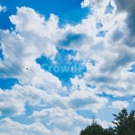 하늘, 하늘색, 노을, 구름, sky, 사진,이미지,일러스트,캘리그라피 - David Forest작가 크라우드픽 - 저작권 걱정 없는 상업용 이미지