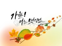 가을, 단풍, 낙엽, 가을분위기, 가을감성, 사진,이미지,일러스트,캘리그라피 - palangsae작가 크라우드픽 - 저작권 걱정 없는 상업용 이미지
