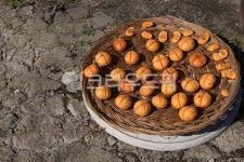 가을, 열배, 시골, 고향, 고향생각, 사진,이미지,일러스트,캘리그라피 - 풀초작가 크라우드픽 - 저작권 걱정 없는 상업용 이미지