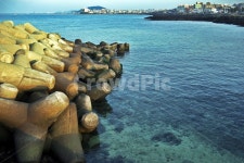 제주도, 방파제, 테트라포드, 옥빛바다, 자연, 사진,이미지,일러스트,캘리그라피 - Deep bLUE작가 크라우드픽 - 저작권 걱정 없는 상업용 이미지