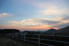 하늘, 자연, 노을, 구름, 해질녘, 사진,이미지,일러스트,캘리그라피 - ding2작가 크라우드픽 - 저작권 걱정 없는 상업용 이미지