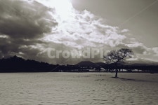 제주, 풍경, 빛내림, 겨울, 마육성목장, 사진,이미지,일러스트,캘리그라피 - 탐라는 島다작가 크라우드픽 - 저작권 걱정 없는 상업용 이미지