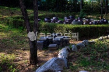 ground, 바닥, 장독대, 질그릇, 뒤란, 사진,이미지,일러스트,캘리그라피 - 퓨처작가 크라우드픽 - 저작권 걱정 없는 상업용 이미지