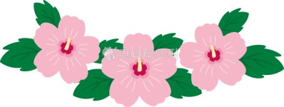 무궁화, 꽃, 꽃잎, 한국국화, 식물, 사진,이미지,일러스트,캘리그라피 - mannada작가 크라우드픽 - 저작권 걱정 없는 상업용 이미지