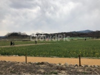 초원, 하늘, 들판, 경주, 구름, 사진,이미지,일러스트,캘리그라피 - doya작가 크라우드픽 - 저작권 걱정 없는 상업용 이미지