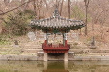 애련지, 연못, 정자, 옛날정자, 경치, 사진,이미지,일러스트,캘리그라피 - 조은사진작가 크라우드픽 - 저작권 걱정 없는 상업용 이미지