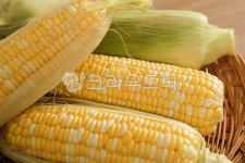 옥수수, 초당옥수수, 농산물, 노란옥수수, cannedcorn, 사진,이미지,일러스트,캘리그라피 - 카메라든오빠작가 크라우드픽 - 저작권 걱정 없는... 