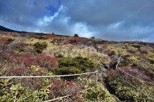 한라산, 남벽분기점, 돈내코코스, 제주도, 한라산국립공원, 사진,이미지,일러스트,캘리그라피 - Deep bLUE작가 크라우드픽 - 저작권 걱정 없는... 