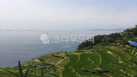 nature, 자연, outdoors, 옥외, 다랭이마을, 사진,이미지,일러스트,캘리그라피 - Nkootw20작가 크라우드픽 - 저작권 걱정 없는 상업용 이미지