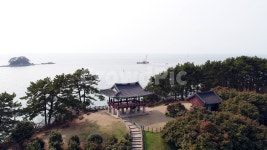 동백, 동백정, 동백꽃, 꽃, 자연, 사진,이미지,일러스트,캘리그라피 - 선우연작가 크라우드픽 - 저작권 걱정 없는 상업용 이미지