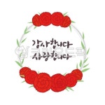 카네이션이미지, 카네이션, 꽃, 봄, 어버이날, 사진,이미지,일러스트,캘리그라피 - janeja08작가 크라우드픽 - 저작권 걱정 없는 상업용 이미지