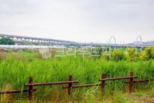 nature, 자연, outdoors, 옥외, 울타리, 사진,이미지,일러스트,캘리그라피 - studio H작가 크라우드픽 - 저작권 걱정 없는 상업용 이미지