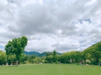 수목원, 여름풍경, 나무, 초록풍경, 맑은하늘, 사진,이미지,일러스트,캘리그라피 - 파송송계란탁작가 크라우드픽 - 저작권 걱정 없는 상업용 이미지