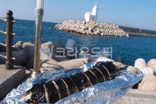바다, 제주도, 꽁치김밥, 김밥, 바다앞김밥, 사진,이미지,일러스트,캘리그라피 - Nsj0399작가 크라우드픽 - 저작권 걱정 없는 상업용 이미지
