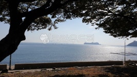tree, 나무, treetrunk, 나무줄기, nature, 사진,이미지,일러스트,캘리그라피 - 킴쫑작가 크라우드픽 - 저작권 걱정 없는 상업용 이미지