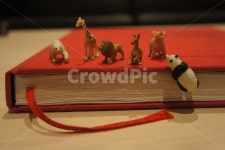 미니어처, 동물미니어처, 동물인형, miniature, animalminiature, 사진,이미지,일러스트,캘리그라피 - 메리작가 크라우드픽 - 저작권 걱정... 