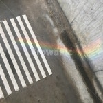 무자개, 감성, 아스팔트, 횡단보도, rainbow, 사진,이미지,일러스트,캘리그라피 - Nmartta94작가 크라우드픽 - 저작권 걱정 없는 상업용 이미지